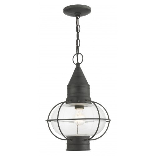 1 Light Charcoal Outdoor Pendant Lantern Livex