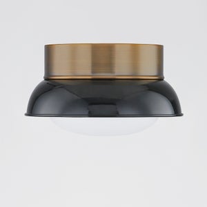 Troy Lighting Arnie Flush Mount