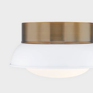 Troy Lighting Arnie Flush Mount