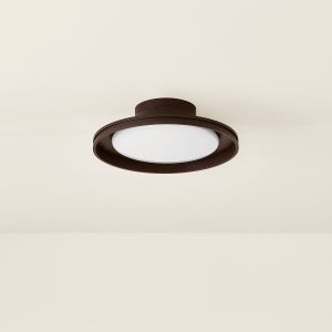 Cannes Exterior Flush Mount Troy Lighting