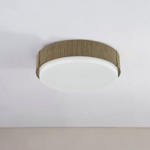 Troy Lighting Zane Flush Mount