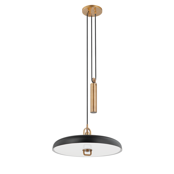 Plummet Pendant Troy Lighting