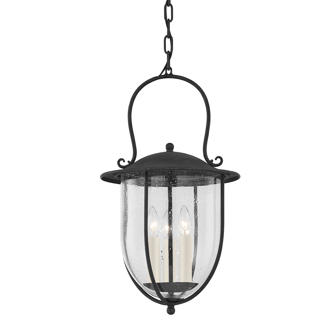 Monterey County Pendant Troy Lighting