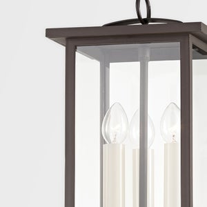 Troy Lighting Eden Pendant