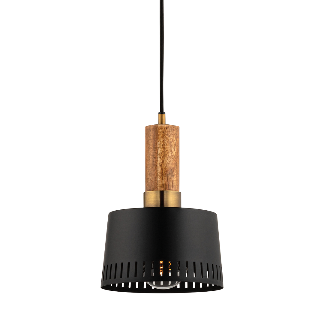 Troy Lighting Memphis Pendant