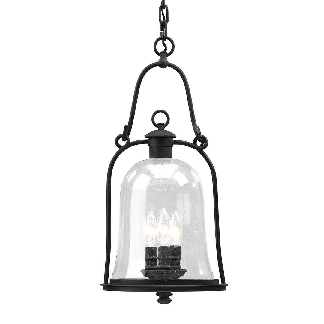 Troy Lighting Owings Mill Lantern