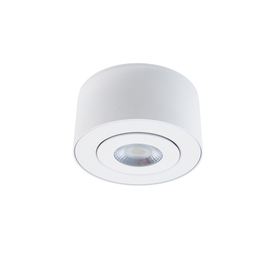 Peek LED Flush Mount