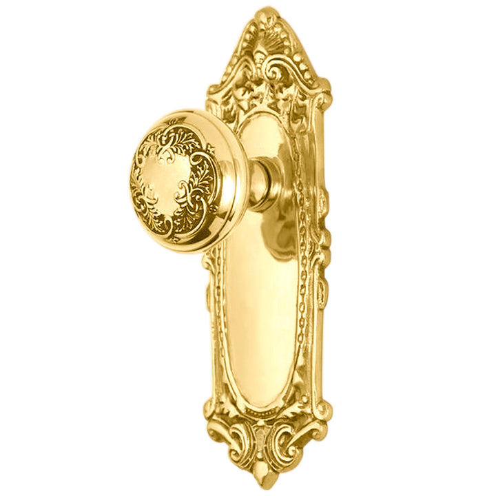 Ornate Victorian Long Backplate Door Set with Floral Leaf Door Knobs (Several Finishes Available)