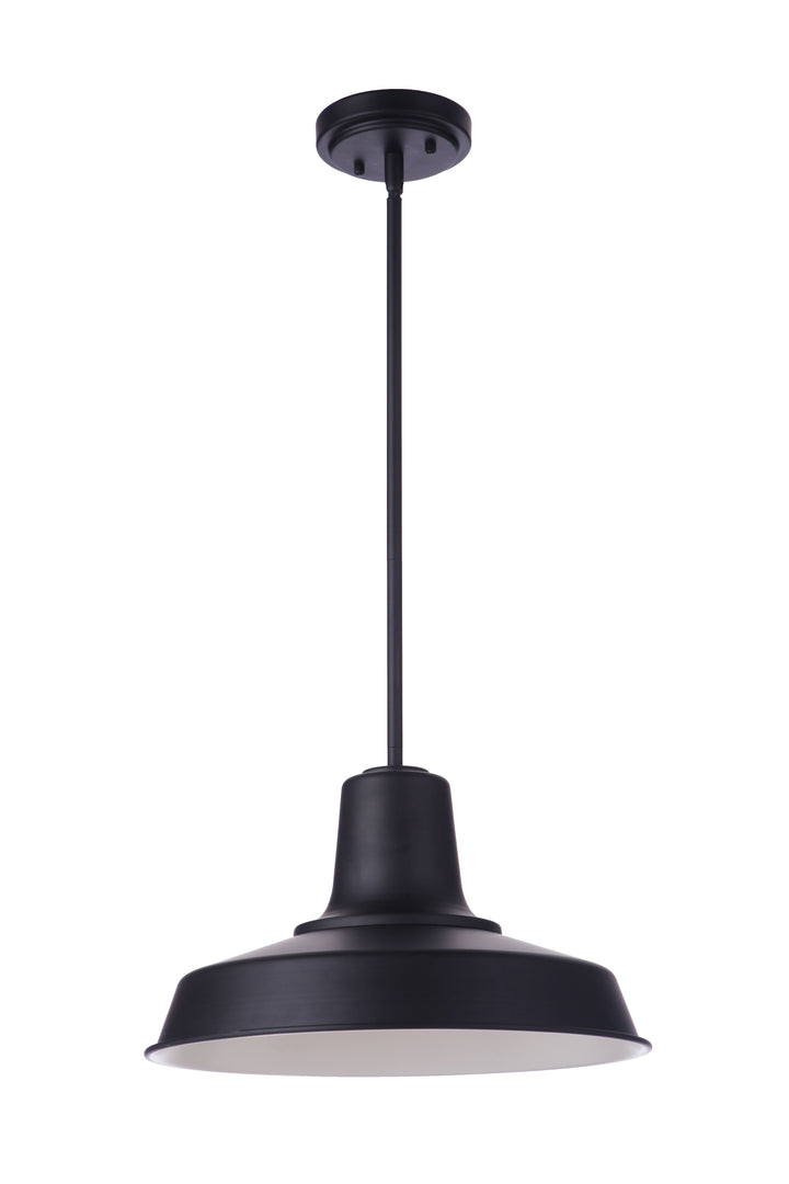 CRAFTMADE Briscoe 1 Light 15" Outdoor Pendant in Midnight