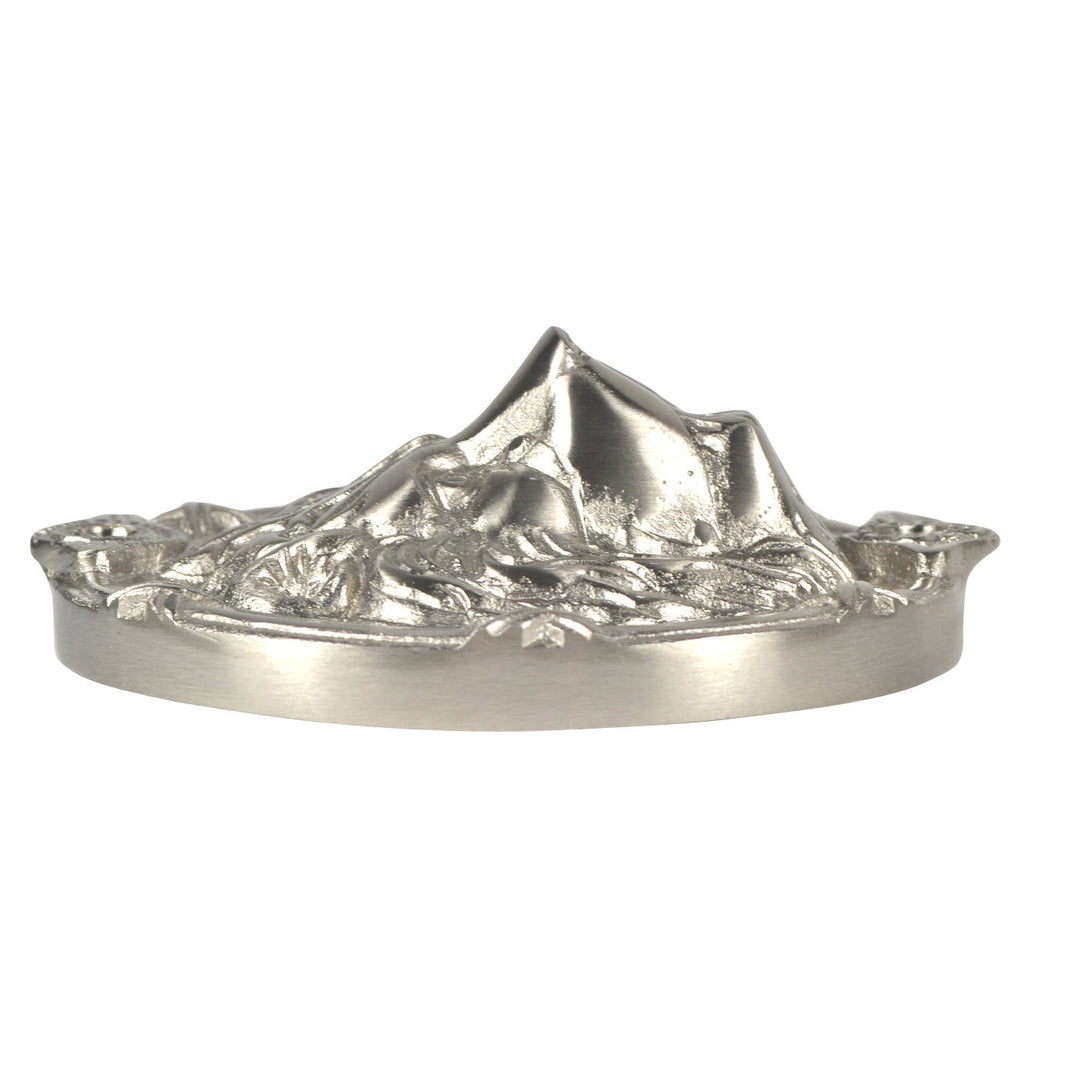 Lion's Head Medallion (Several Finishes Available)